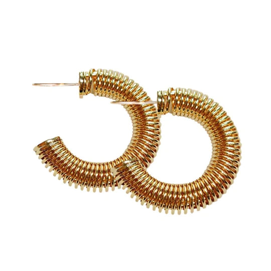 St Armands Gold Coil Hoops